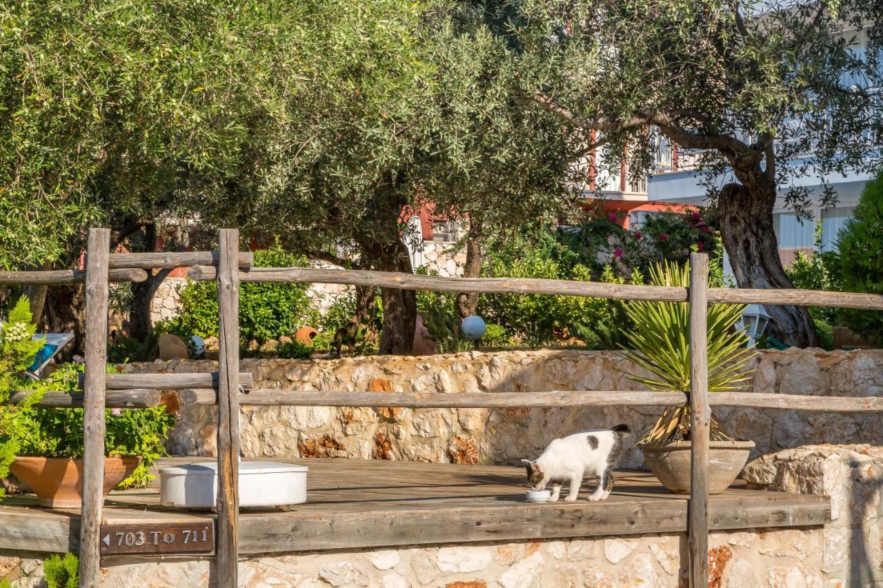 Oasis Hotel (Adults Only) Калкан Екстериор снимка